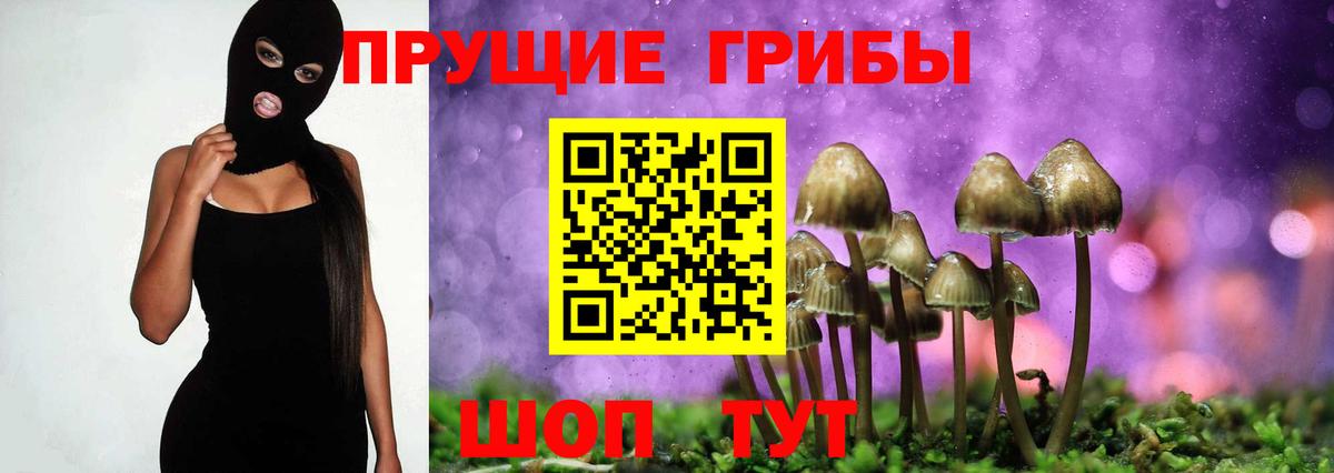 Ухта  дарнет шоп  Вход с VPN  Галлюциногенные грибы Cubensis 